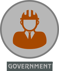 Government icon
